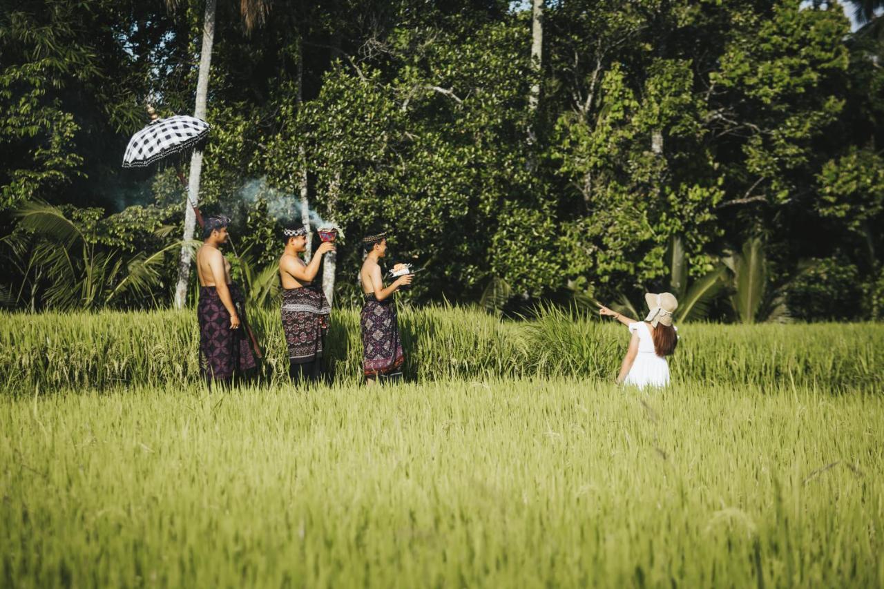 Sunshine Couette-café Ubud